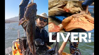 Catch and Cook Lingcod LIVER Boat RUNS OVER KAYAKER [upl. by Aya]