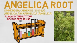 Essential Oil Breakdown Angelica Root Benefits Uses and History Aromatherapy [upl. by Suoirad220]