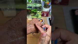 Make SFX Gelatin  Dùng Gelatin hóa trang vết bỏng [upl. by Reffinnej414]