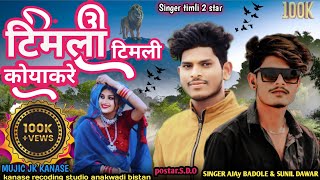 timli song 2024।। टिमली सॉन्ग 2024। Singer Sunil dawar and Ajay badole।। [upl. by Nylekcaj]