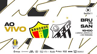 🔴 AO VIVO BRUSQUE 0 x 1 SANTOS  BRASILEIRO B 070924 [upl. by Kerwon]