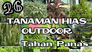 Tanaman Hias Outdoor [upl. by Kissiah834]