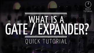 What is an Expander  Gate Quick Tutorial [upl. by Mazlack]