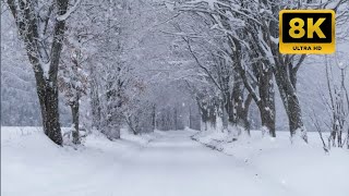 TV Art Screensaver 4K winter  screen tv art wall 4K FULL HD Relaxing snow Background  Wallpaper [upl. by Mcguire]