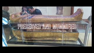 EGYPT Wonders PHOTOS PART 5 Old Egyptian Museum Cairo 2023 Mummy Animals Sarcophag Ancient Artefacts [upl. by Elena]