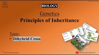 Dihybrid Cross  Principles of Inheritance  genetics  biology  Class 12th  Class 10th [upl. by Eneleahs]