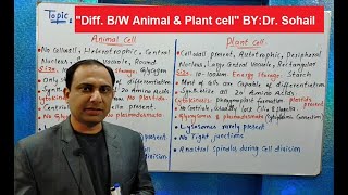 Differences Between Animal and Plant cell [upl. by Gunning]