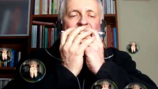 THE IRISH ROVER  HARMONICA [upl. by Fania]