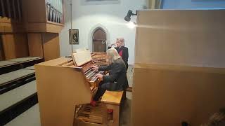 Zwieseler Orgeltage 243 JSBach Toccata amp Fuge d moll BWV 565 AvBismarck StNikolaus [upl. by Hafital]