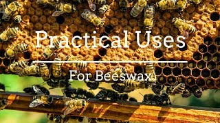 5 Practical Surprising Uses for Beeswax [upl. by Sydney]