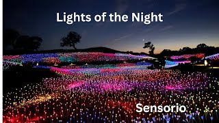 The Magical Field Of Lights In Paso Robles Ca [upl. by Cherry]