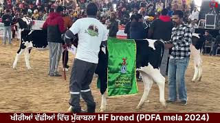 HF ਖੀਰੀਆਂ ਵੱਛੀਆਂ ਵਿੱਚ ਮੁੱਕਾਬਲਾ PDFA mela Jagraon 2024 [upl. by Irep342]