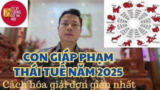 Các con giáp phạm Thái Tuế năm 2025 và cách hóa giải  Tử vi tướng số Hà Nội [upl. by Anitsuj]