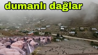 ÇOBANIN EN ZOR ANI DAĞLAR DUMANLI OLUNCA [upl. by Gnoc980]