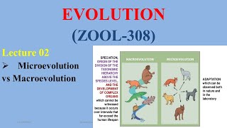 Microevolution amp Macroevolution [upl. by Burman908]