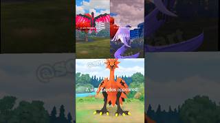 wild Legendary Galarian Moltres in galarian Articuno in Galarian Zapdos in pokemon go pokemon [upl. by Ahsial]