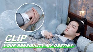 Clip Qingcheng Holds Lin Chis Hand To Sleep  Your Sensibility My Destiny EP03  公子倾城  iQiyi [upl. by Ennirac]