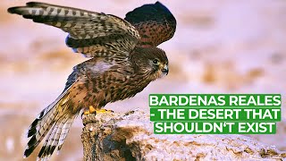 Bardenas Reales  Europes Impossible Desert  Free Documentary Nature [upl. by Iemaj268]