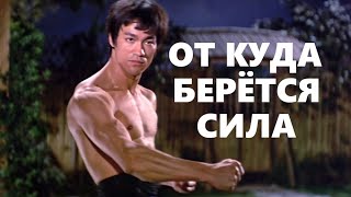 ОТ КУДА БЕРЁТСЯ СИЛА в Вин Чун КУНФУ  WHERE DOES POWER COME FROM IN WING CHUN KUNG FU  詠春拳的力量從何而來 [upl. by Ace]