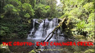 Lamington Adventures Up West Canungra Creek [upl. by Idid]