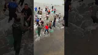 Amazing Fish catching a new video fishingvideo [upl. by Bellanca265]