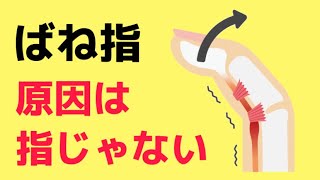 【ばね指・腱鞘炎】を手術せずに自分で治す方法 [upl. by Yennej427]