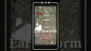 Earthworm in soil SdrVillageanimal shorts earthworm [upl. by Jobi120]