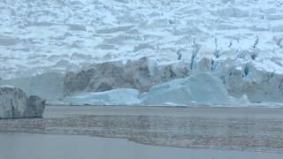 Awesome Calving Glacier Neko Harbor Antarctica [upl. by Knuth]