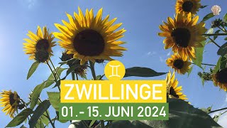 ZWILLINGE ♊️ quotWAGE ES EINEN UNTERSCHIED ZU MACHENquot  01  15 JUNI 2024  1 Monatshälfte TAROT [upl. by Orozco575]