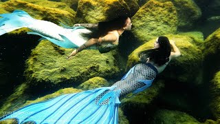 TWO MERMAID TAILS SPARKLE UNDERWATER beautiful underwater scenery with sparkly mermaids swimming [upl. by Shirah]