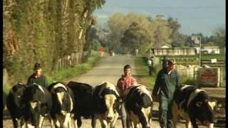 Taratahi Agricultural Training Centre [upl. by Horn]