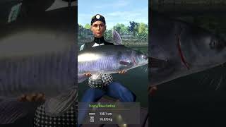 Big fish Trophy Blue Catfish Saint  Croix lake Fishing Planet pc game [upl. by Enilarac]