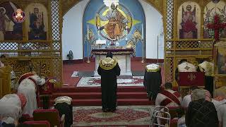 St Maurice Coptic Orthodox Church Live [upl. by Halyhs]