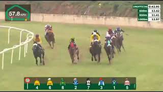 Hyderabad  The Sikander E Azam Plate Div1 [upl. by Willetta]