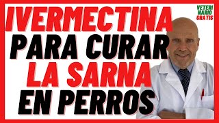 ❤️ IVERMECTINA para la SARNA en PERROS ❤️ Ivomec 1 usos dosis indicaciones efectos secundarios [upl. by Gabrielli]