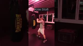 Knie Stoß kampfsporttraining motivation sports martialarts mma [upl. by Surtemed]