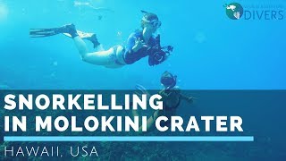 Snorkelling in Hawaii  Molokini Crater Maui [upl. by Venice]