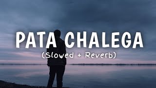 Pata Chalega Slowed  Reverb  Imran Khan Pata Chalega Song  Pata Chalega Song lofi version [upl. by Mcadams]