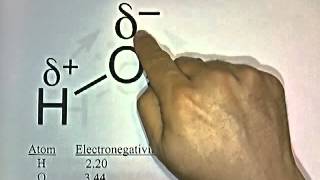 Polar and Nonpolar Molecules [upl. by Aeslek132]