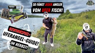 UferangelGuide im Herbst 🎣  Beste Hechtköder Barschköder Lieblingsköder  Nays  Westin [upl. by Yrret53]