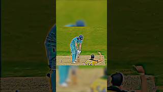 Starc Yorker King Clean Bold 🤯 cricket trending 1million viralvideo shorts [upl. by Nanete]