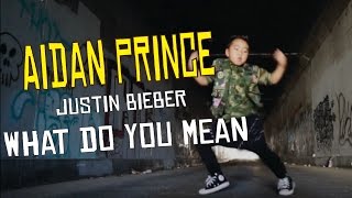 WHAT DO YOU MEAN by Justin Bieber  Aidan Prince  Matt Steffanina Choreography [upl. by Shaer]