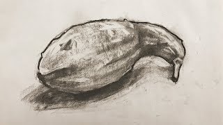 Basics 60  Anyone can draw from observation with these steps charcoal drawing [upl. by Horvitz]