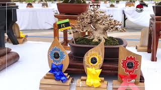 Pameran Dan Kontes Bonsai Nasional Bangli 2024  Bangli  Bali  Indonesia [upl. by Adiazteb]