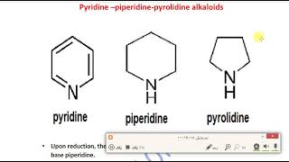 Pyridinepiperidinepyrolidine alkalois Lec 2 عقاقير ثالثة صيدلة تقويمي [upl. by Olemrac892]