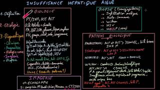 Insuffisance hépatique aigue  Docteur Synapse [upl. by Bois]