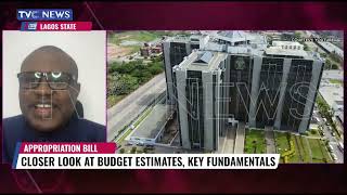 Understanding Details Of Nigerias 2024 Budget Proposal [upl. by Ecirtnahc516]