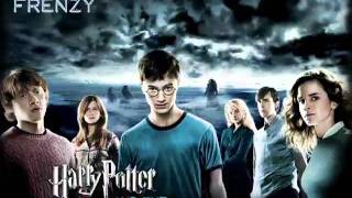 Terabyte FrenzyHarry Potter Dubstep remix [upl. by Ahsirhcal760]