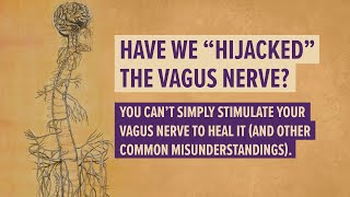 Have we quothijackedquot the vagus nerve nervoussystemregulation polyvagaltheory [upl. by Nothgiel837]