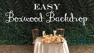 How To Setup a Boxwood Backdrop [upl. by Dayir]